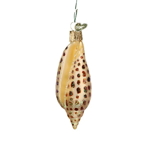 Junonia Shell Ornament