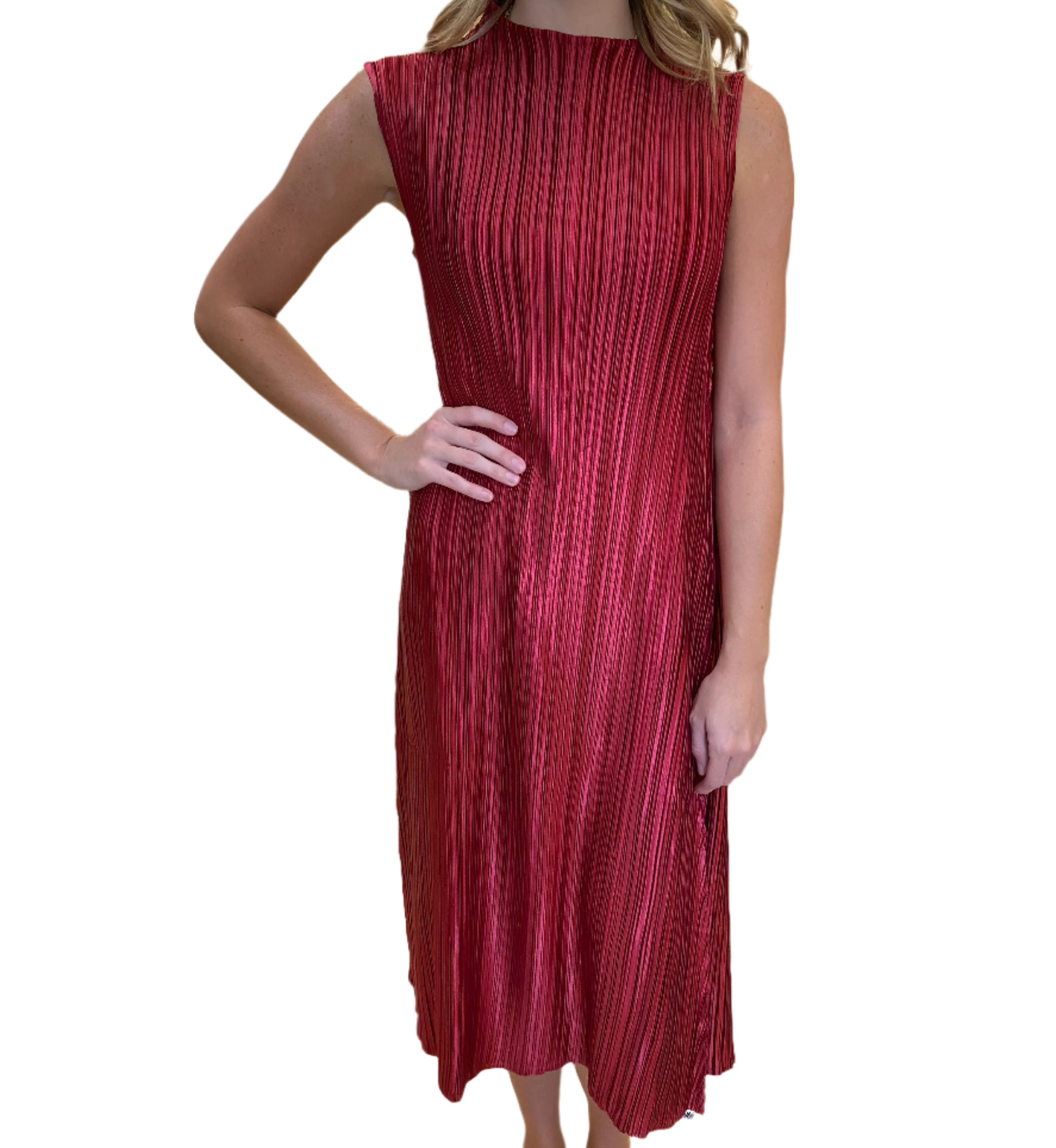 Wrinkle Dress/Red