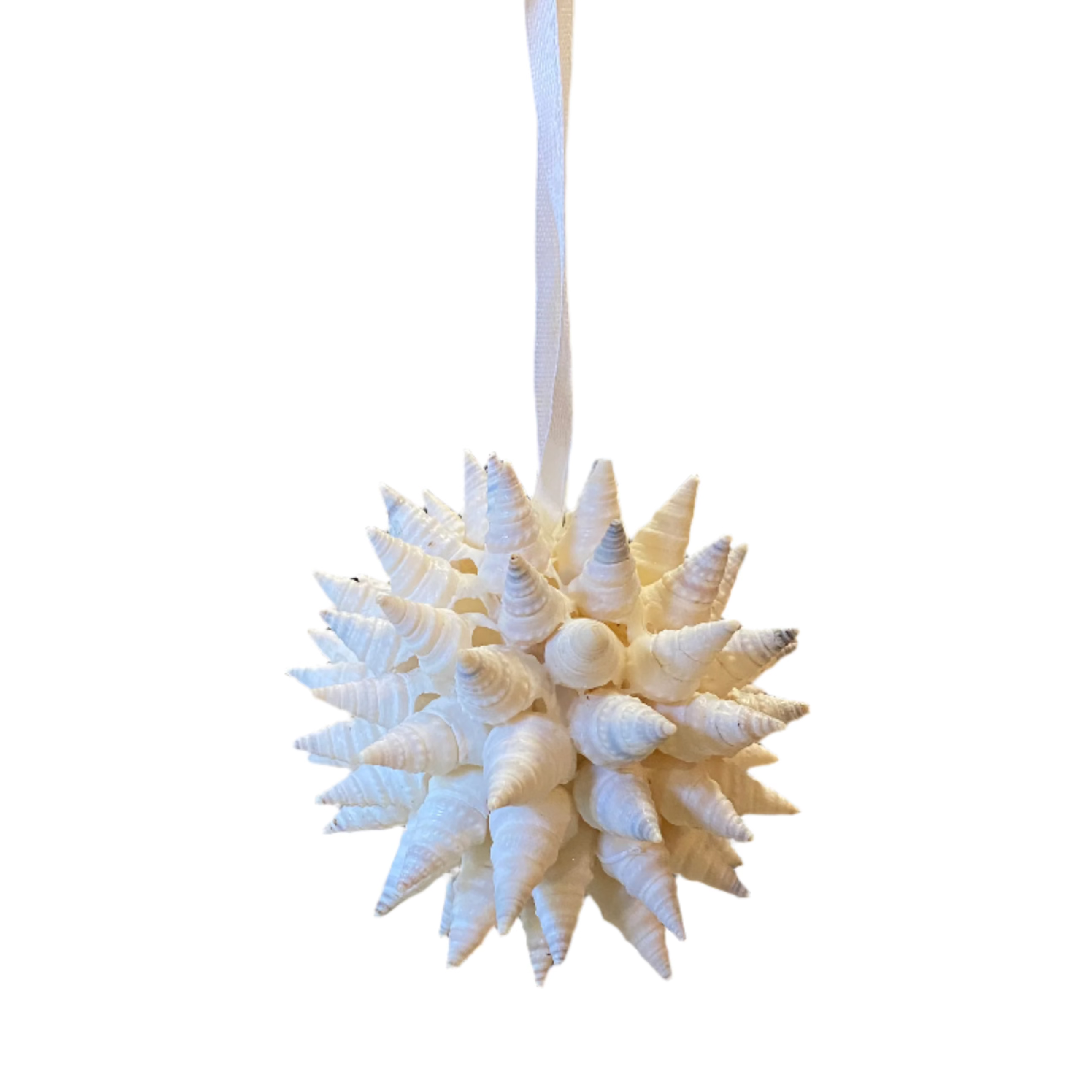 4" Round White Turrid Shell Ornament