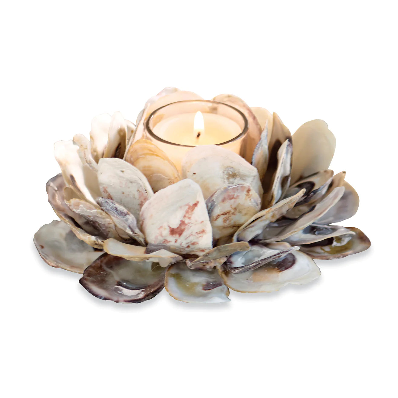 Oyster Shell Votive Holder