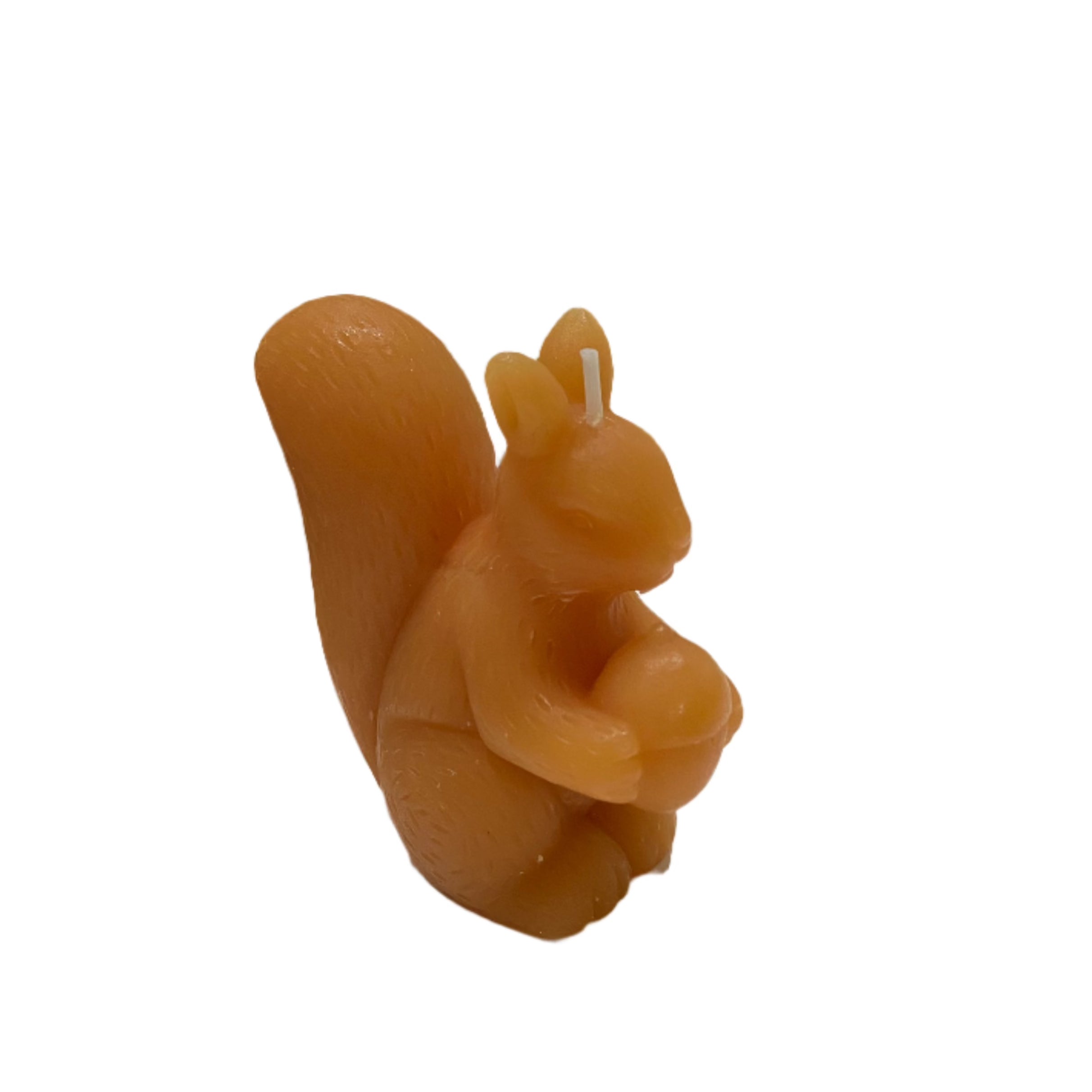 Squirrel Candle - Four Colors