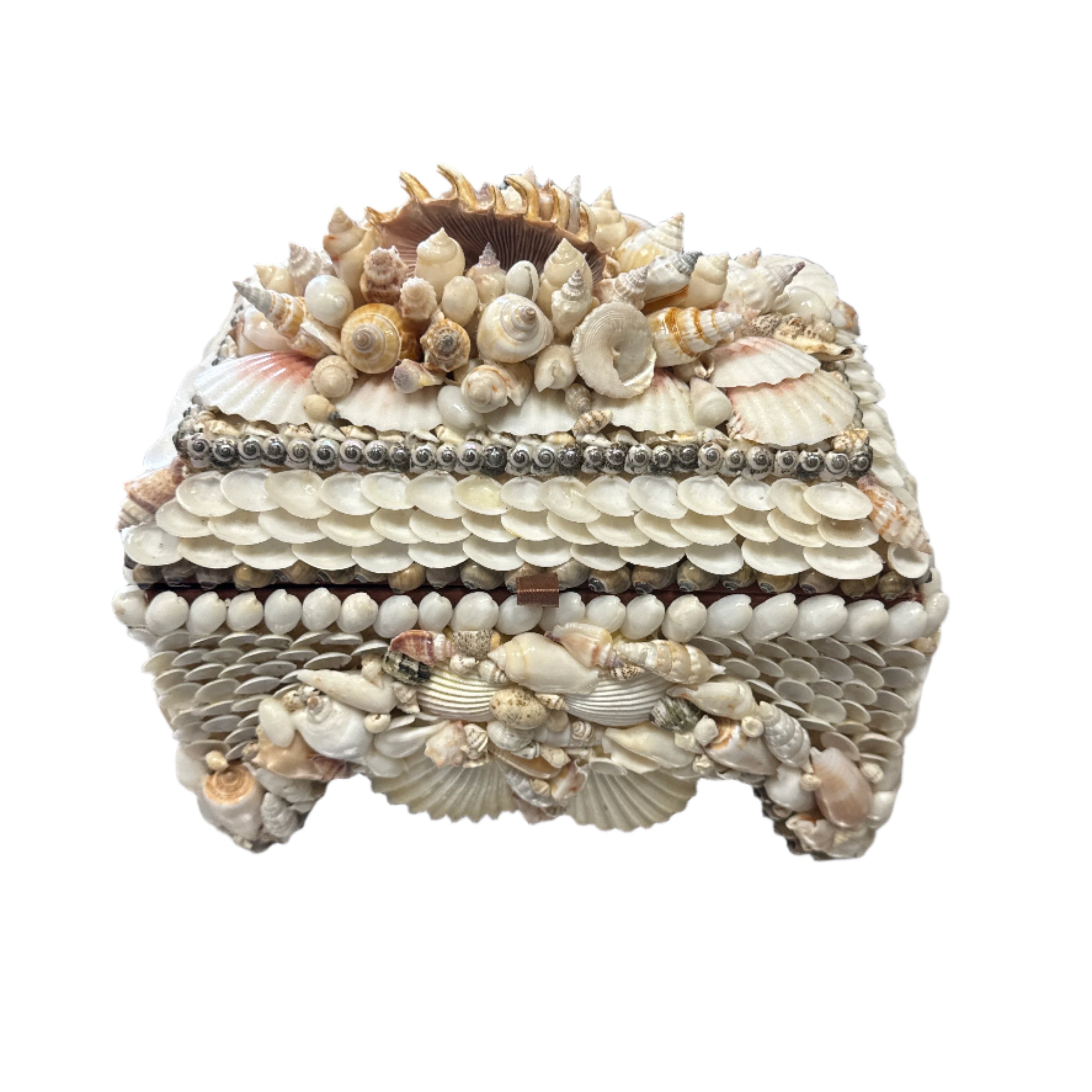 Shell Box - Mix of Natural and White Shells