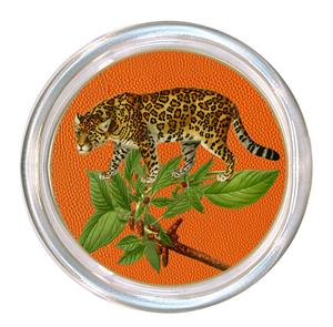 5" Glass Coaster (Multiple Styles)