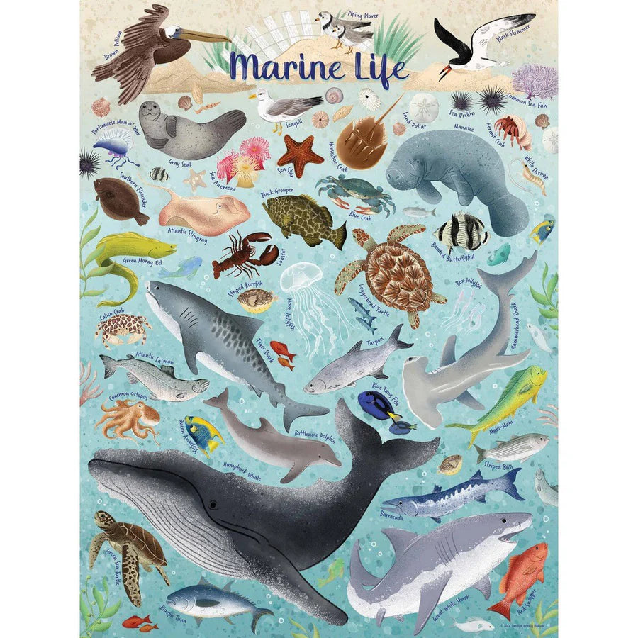 Marine Life Puzzle - 500 Pieces