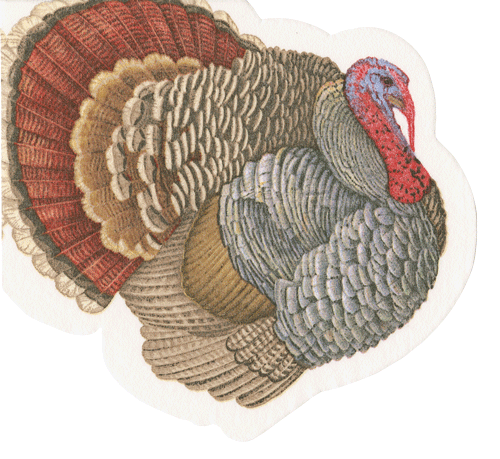 Turkey Die-Cut Paper Napkin