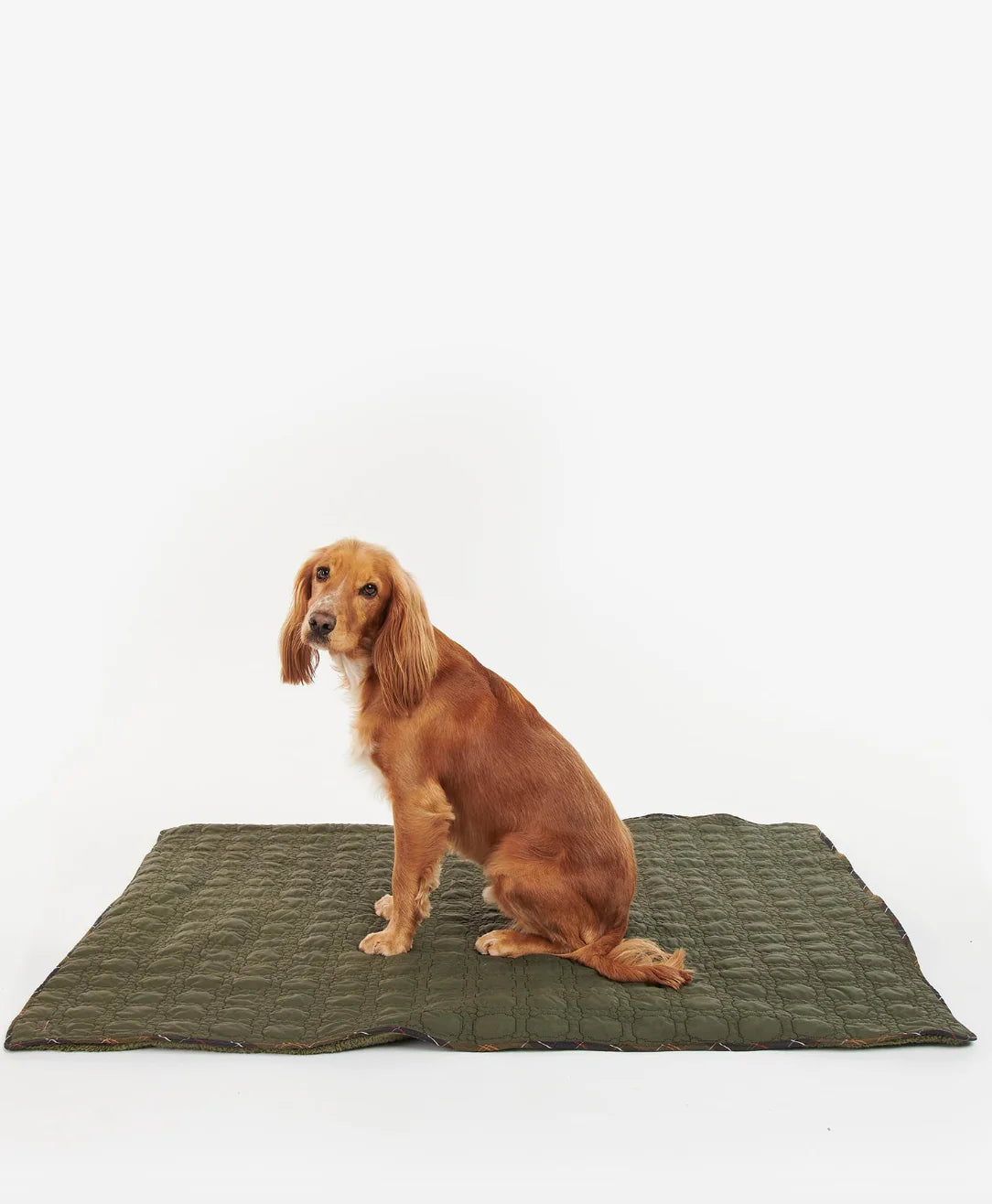 Barbour Dog Bone Quilted Blanket - Dark Olive