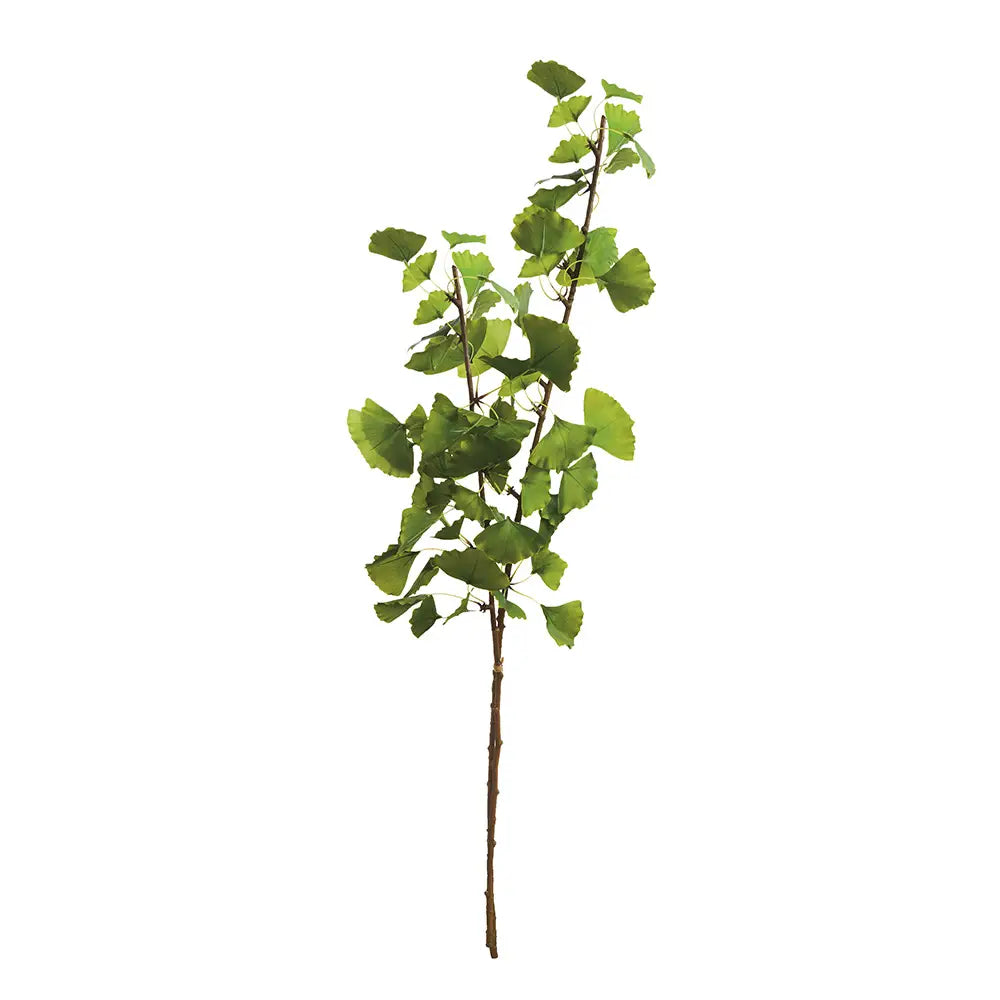 Ginkgo Branch 40", Bundle of 2