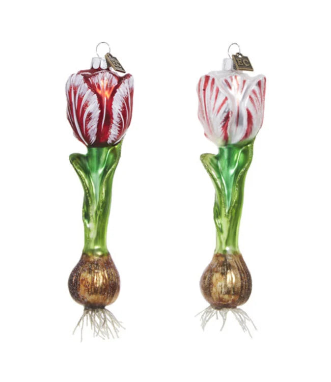 6.5" Tulip Bulb Ornament - (red or white)