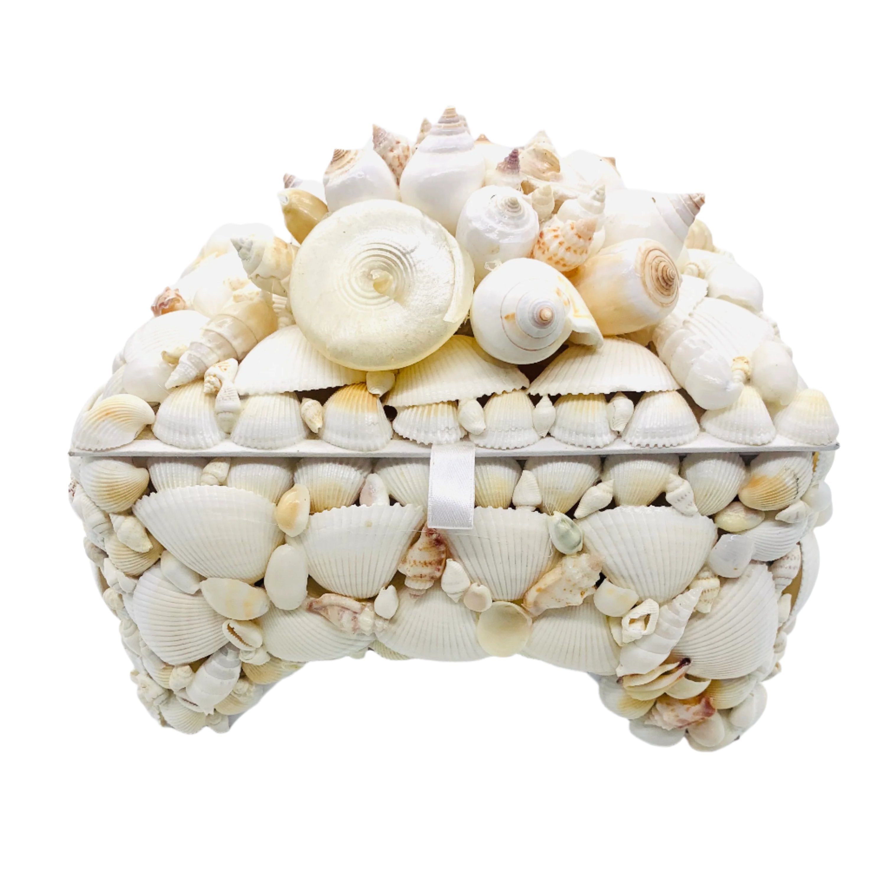 White Shell Box - Large